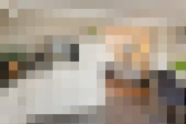 Tarweakker 31 Heino thumbnail 45