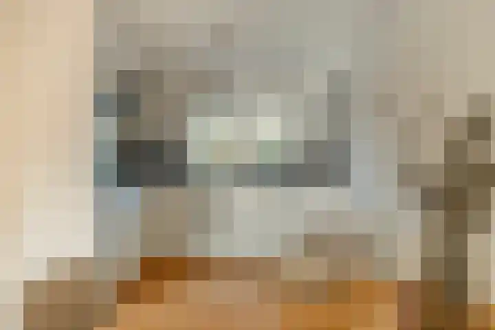Tarweakker 33 Barneveld thumbnail 10