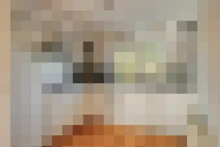 Tarweakker 33 Barneveld thumbnail 11