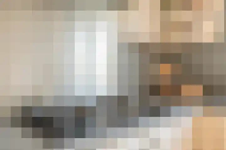 Tarweakker 33 Barneveld thumbnail 12