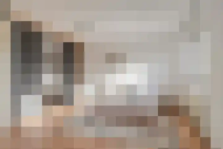 Tarweakker 33 Barneveld thumbnail 15
