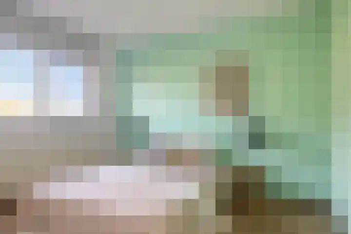 Tarweakker 33 Barneveld thumbnail 17