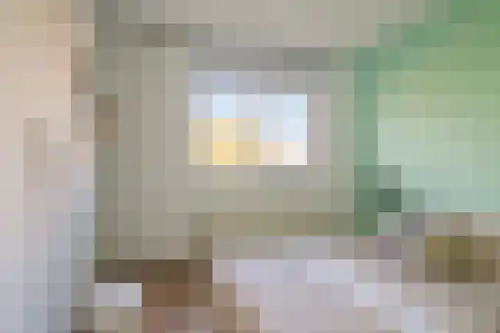Tarweakker 33 Barneveld thumbnail 18