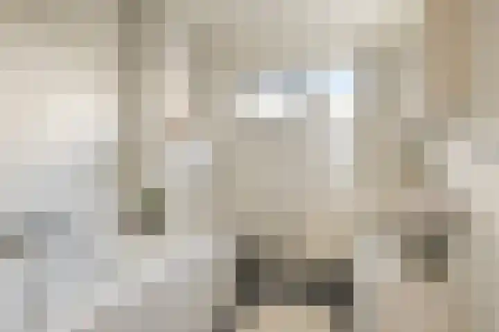 Tarweakker 33 Barneveld thumbnail 19