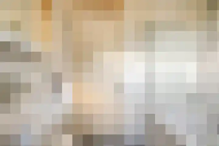 Tarweakker 33 Barneveld thumbnail 20
