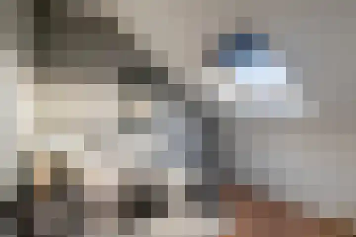 Tarweakker 33 Barneveld thumbnail 23