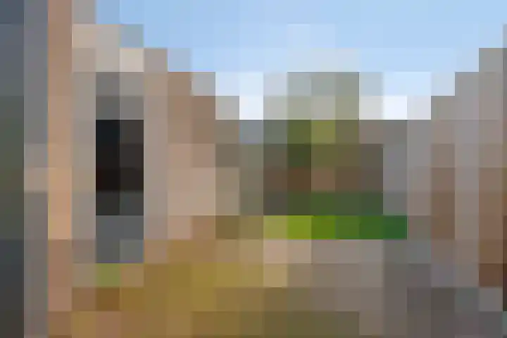 Tarweakker 33 Barneveld thumbnail 24