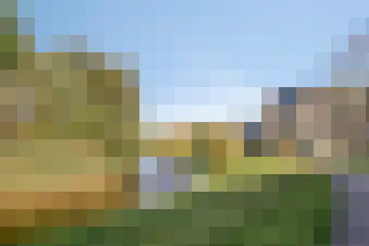 Tarweakker 33 Barneveld thumbnail 27