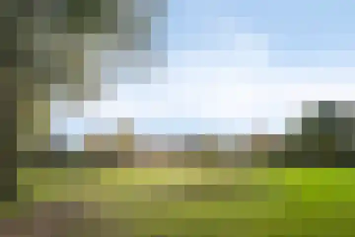 Tarweakker 33 Barneveld thumbnail 28