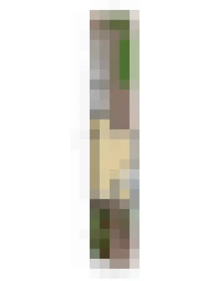 Tarweakker 33 Barneveld thumbnail 33