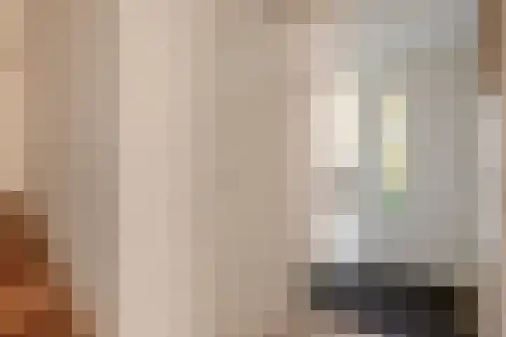 Tarweakker 33 Barneveld thumbnail 4
