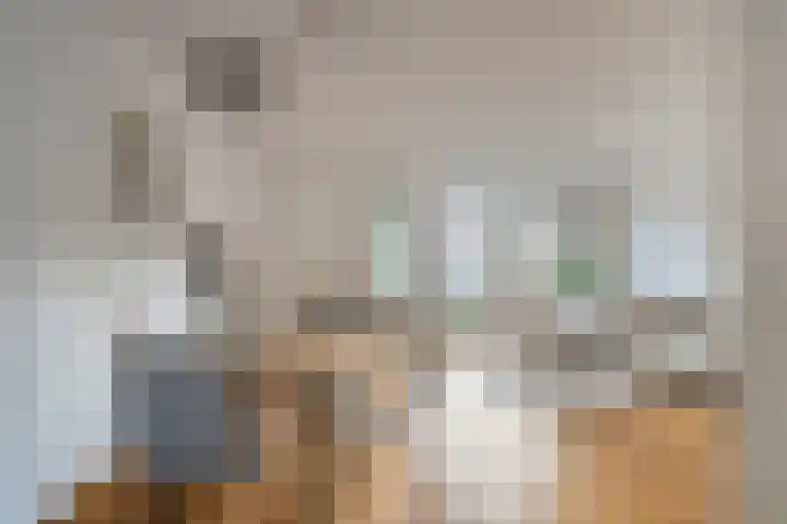 Tarweakker 33 Barneveld thumbnail 6