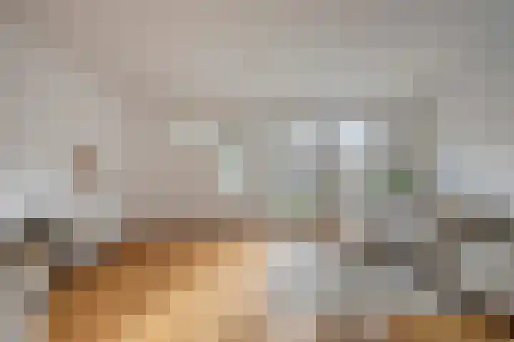 Tarweakker 33 Barneveld thumbnail 7