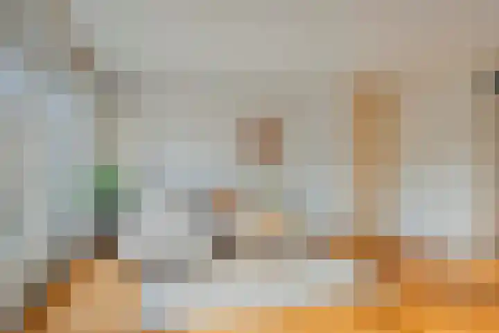 Tarweakker 33 Barneveld thumbnail 8
