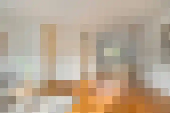 Tarweakker 33 Barneveld thumbnail 9