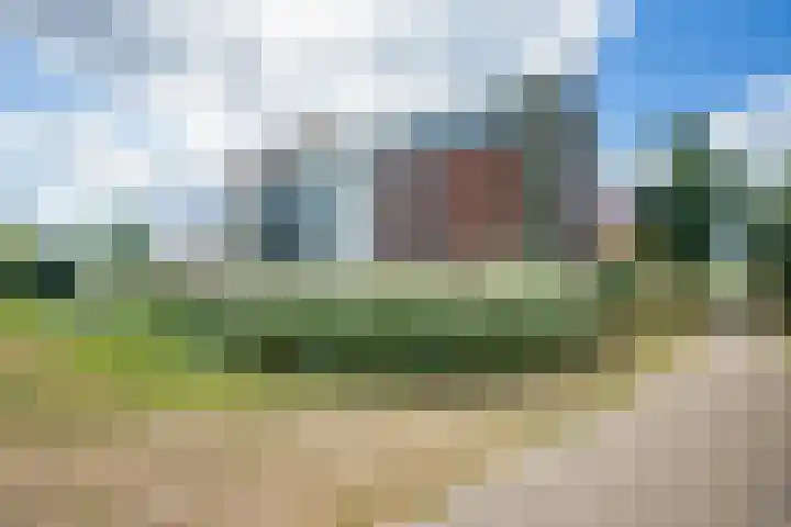 Tarweakker 34 's-Hertogenbosch