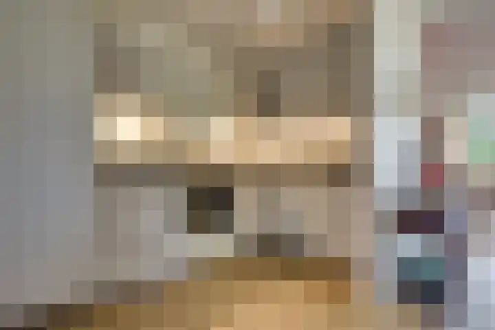 Tarweakker 34 's-Hertogenbosch thumbnail 11