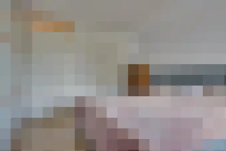 Tarweakker 34 's-Hertogenbosch thumbnail 15