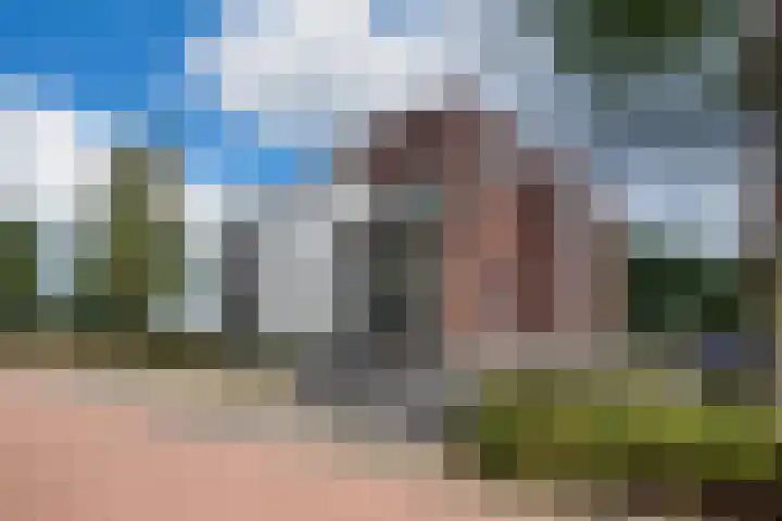 Tarweakker 34 's-Hertogenbosch thumbnail 18