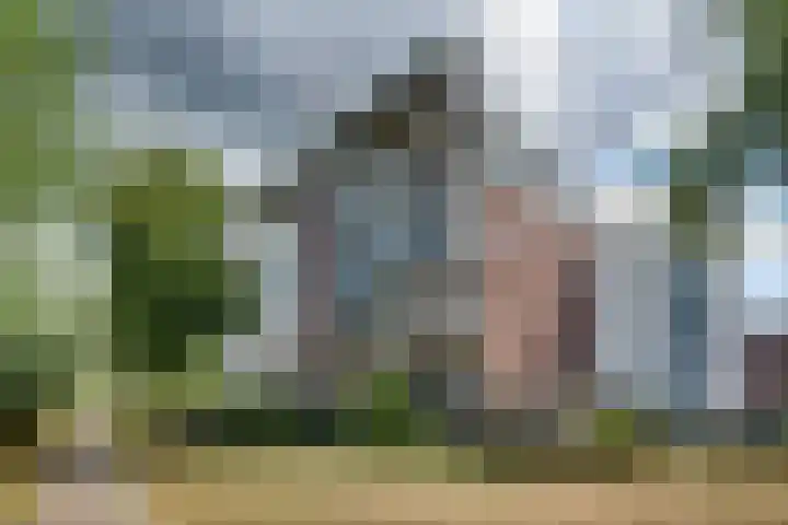 Tarweakker 34 's-Hertogenbosch thumbnail 19