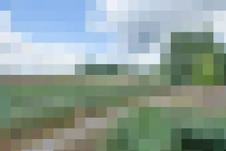 Tarweakker 34 's-Hertogenbosch thumbnail 8