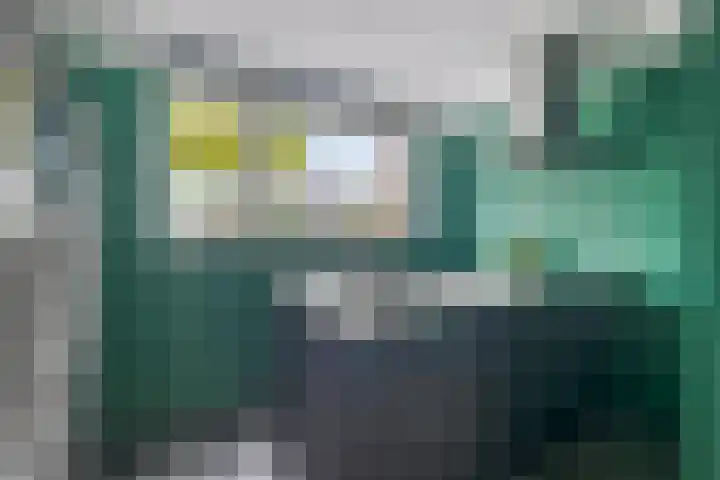 Tarweakker 35 Heino thumbnail 12