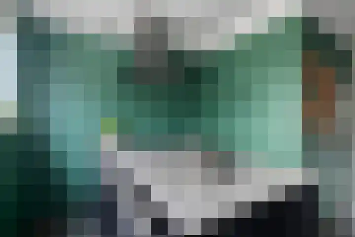 Tarweakker 35 Heino thumbnail 13