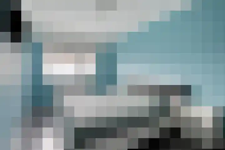 Tarweakker 35 Heino thumbnail 17