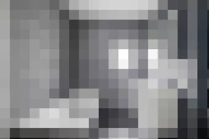 Tarweakker 35 Heino thumbnail 19