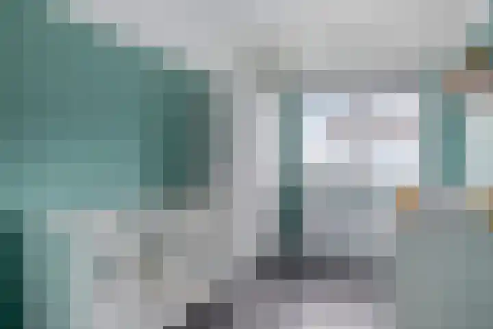 Tarweakker 35 Heino thumbnail 23