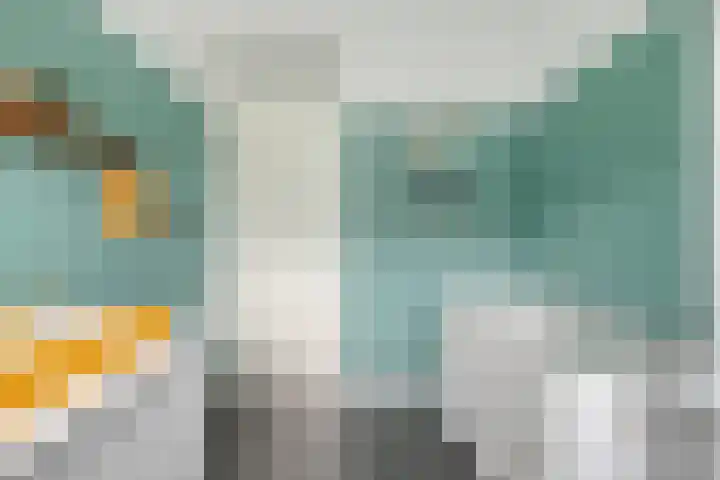 Tarweakker 35 Heino thumbnail 25