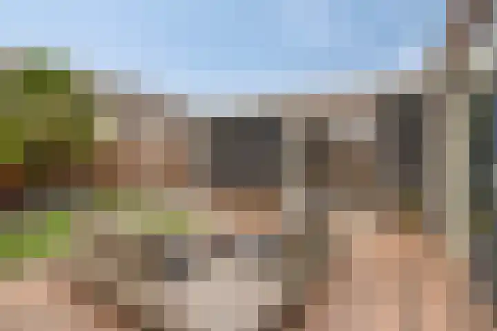 Tarweakker 35 Heino thumbnail 35