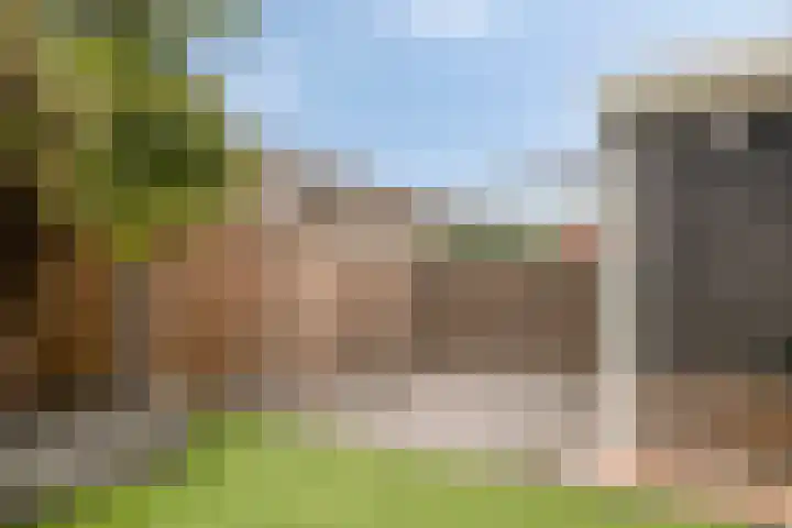 Tarweakker 35 Heino thumbnail 37
