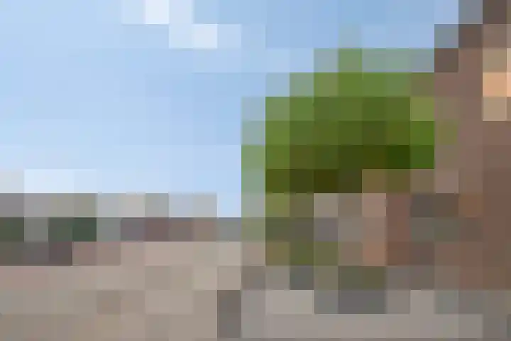 Tarweakker 35 Heino thumbnail 43