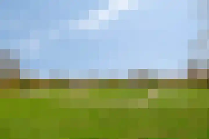 Tarweakker 35 Heino thumbnail 44