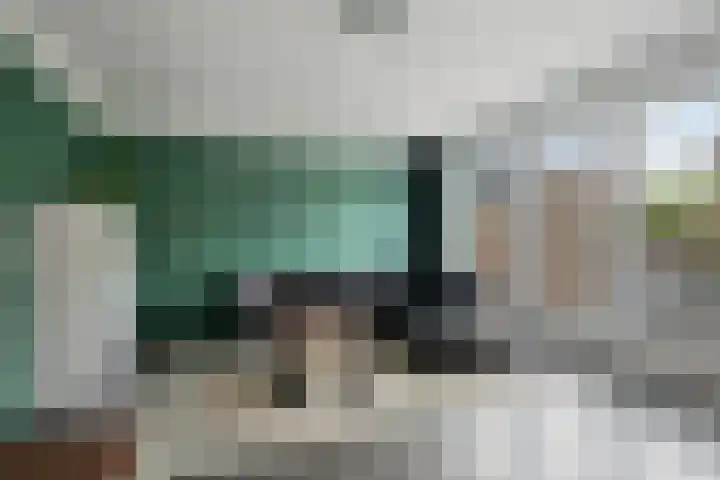 Tarweakker 35 Heino thumbnail 6