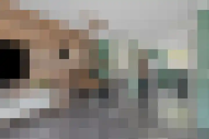 Tarweakker 35 Heino thumbnail 9