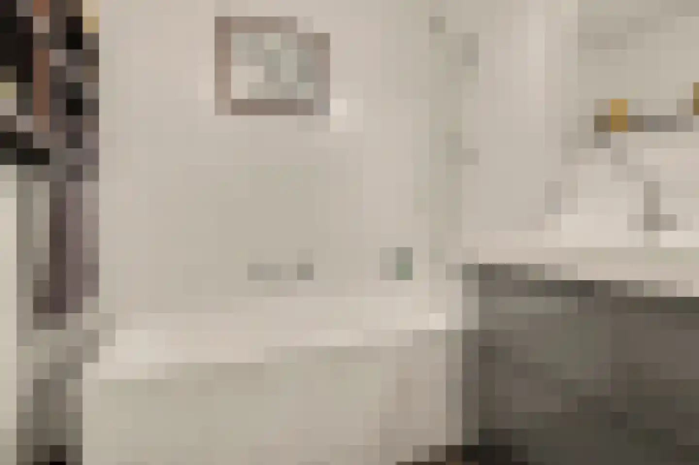 Tarweakker 6 Schiedam thumbnail 33