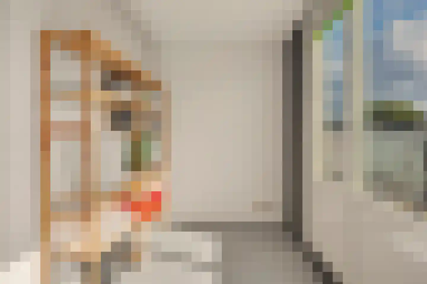 Tarweakker 6 Schiedam thumbnail 38