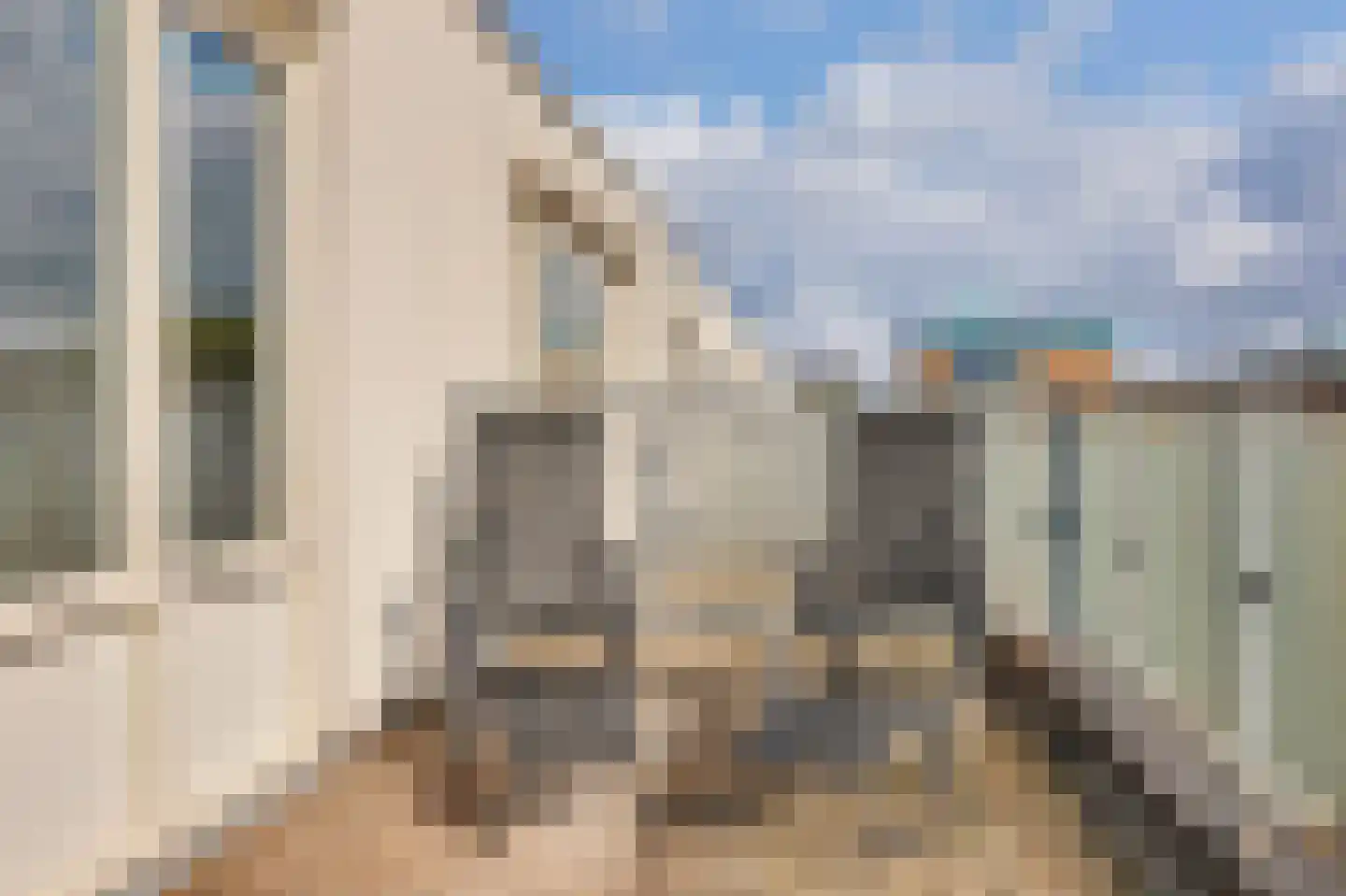 Tarweakker 6 Schiedam thumbnail 41