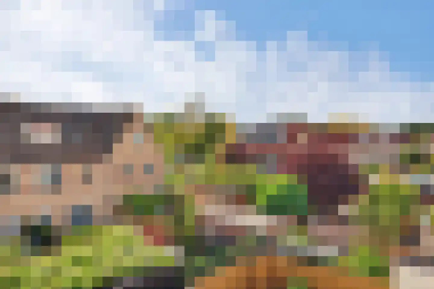 Tarweakker 6 Schiedam thumbnail 43