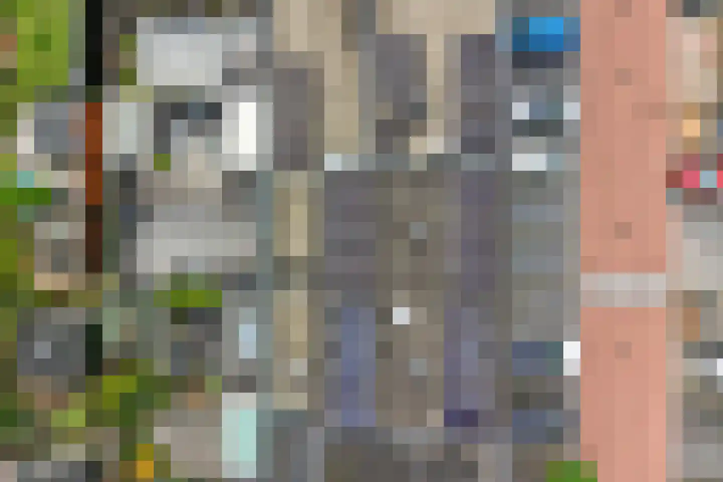 Tarweakker 6 Schiedam thumbnail 56