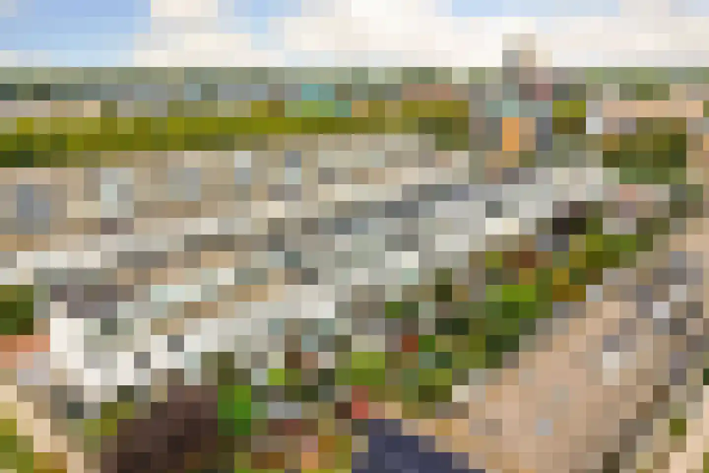 Tarweakker 6 Schiedam thumbnail 59