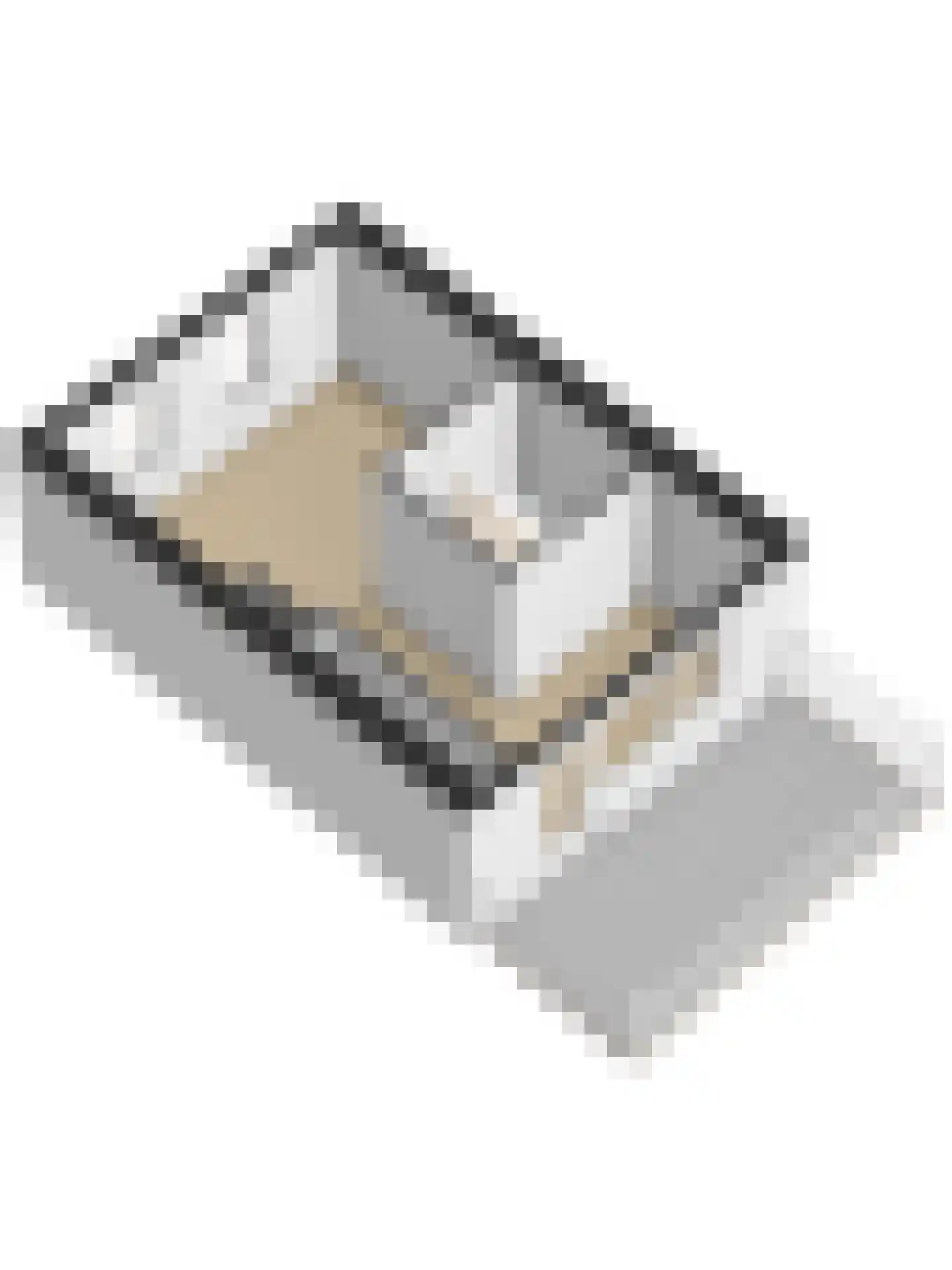Tarweakker 6 Schiedam thumbnail 69