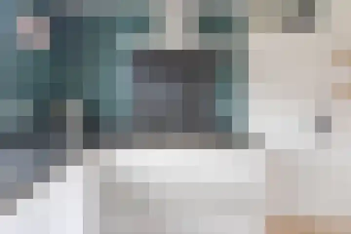 Tarweakker 6 Waddinxveen thumbnail 10