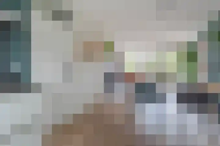 Tarweakker 6 Waddinxveen thumbnail 11