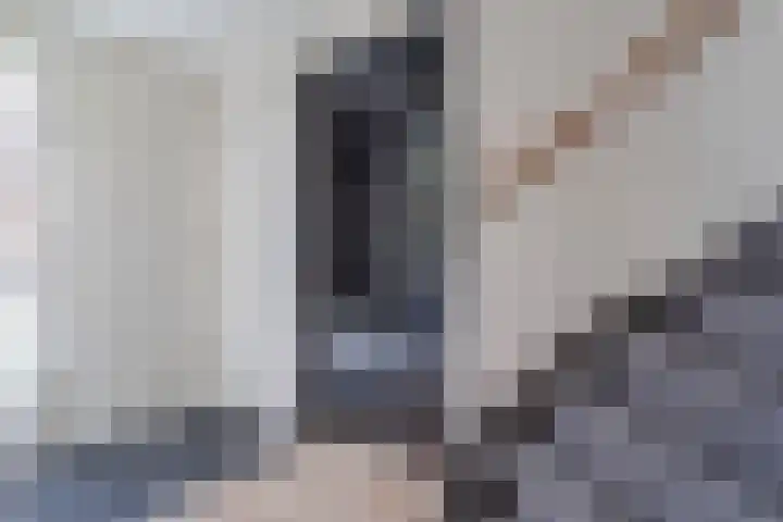 Tarweakker 6 Waddinxveen thumbnail 12