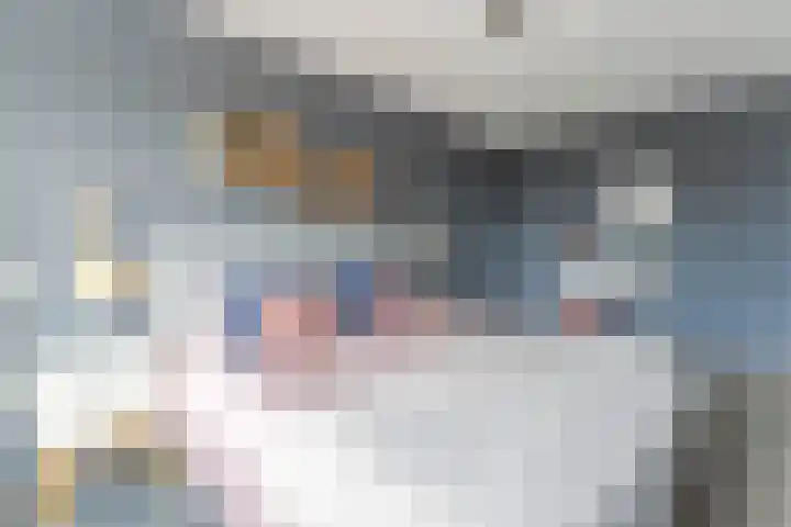 Tarweakker 6 Waddinxveen thumbnail 13