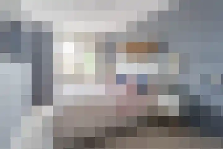 Tarweakker 6 Waddinxveen thumbnail 14