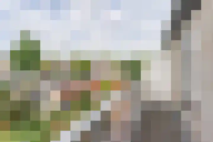 Tarweakker 6 Waddinxveen thumbnail 15